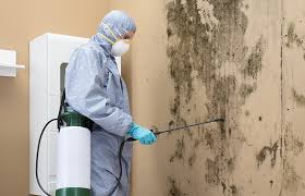 Best HVAC Mold Inspection and Cleaning  in Ceres, CA